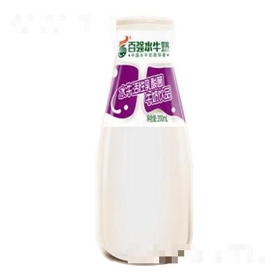 百強水牛活性乳酸菌牛奶飲品200ml